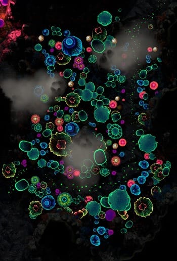 overhead view of fantasy glowing mushroom forest map for use in Role-Playing Games